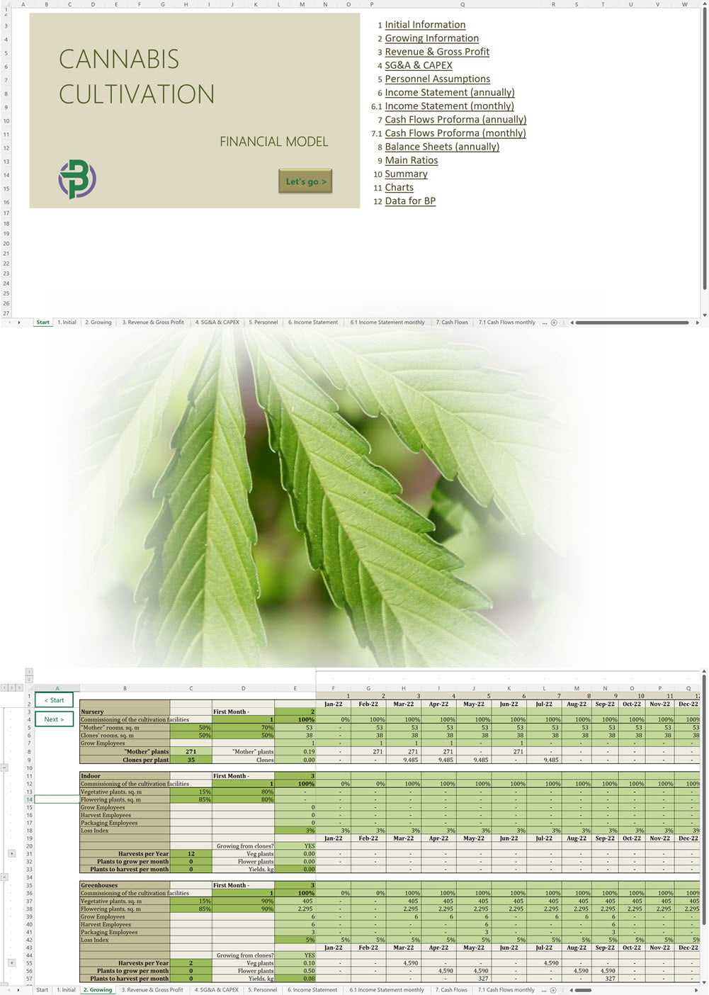 Cannabis Cultivation Financial Model