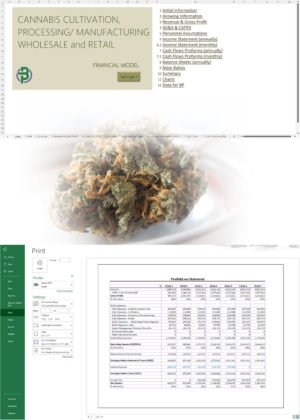 Vertically Integrated Cannabis Business Financial Model