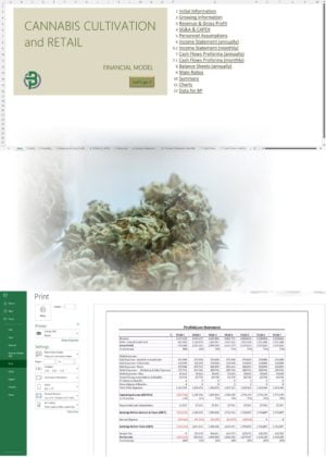cannabis cultivation retail financial model