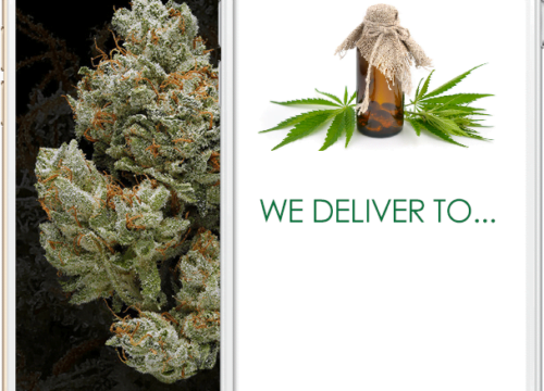 How to Start a Cannabis Delivery Service Business
