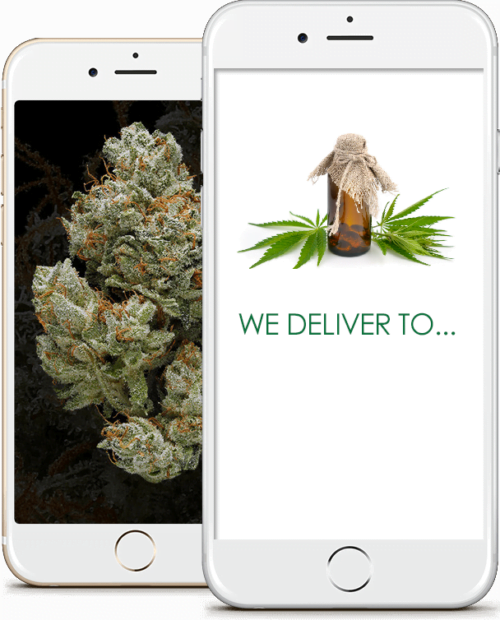How to Start a Cannabis Delivery Service Business