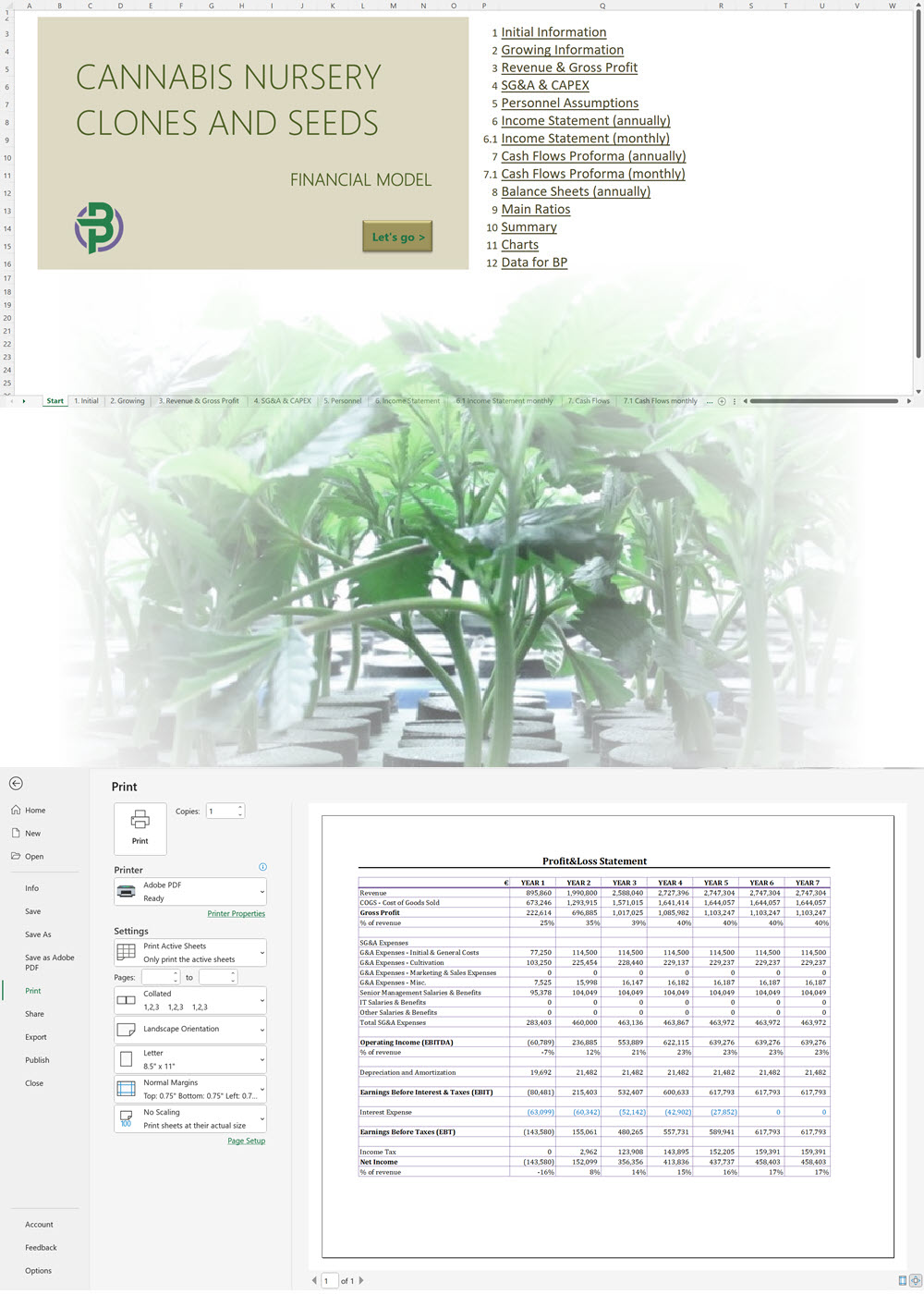 Cannabis Clones/Seeds Nursery Financial Model