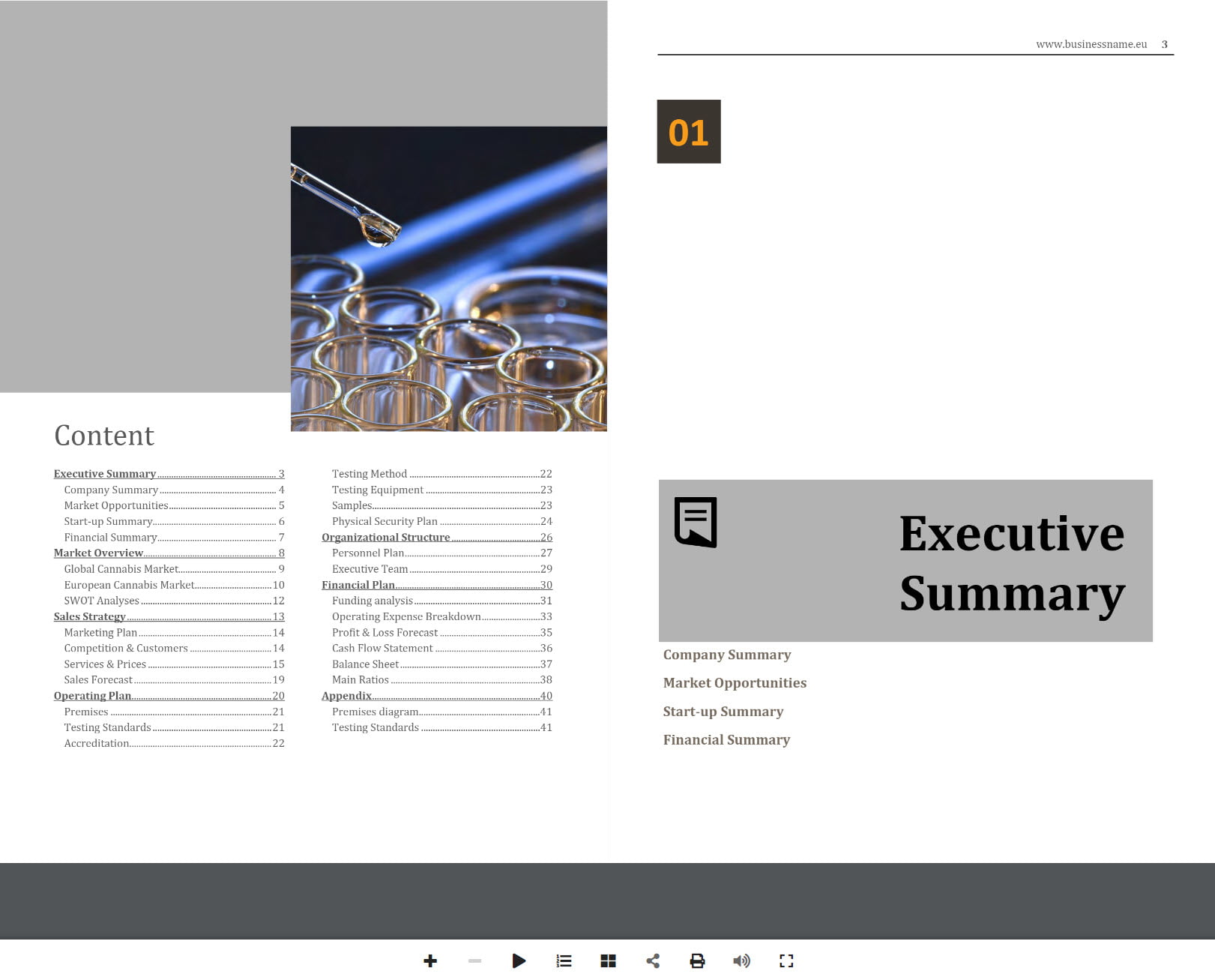Cannabis Testing Laboratory Business Plan Template