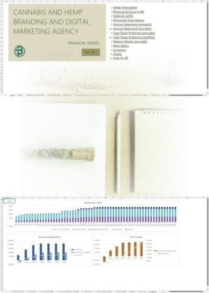 Cannabis Hemp Branding Digital Marketing Financial Model