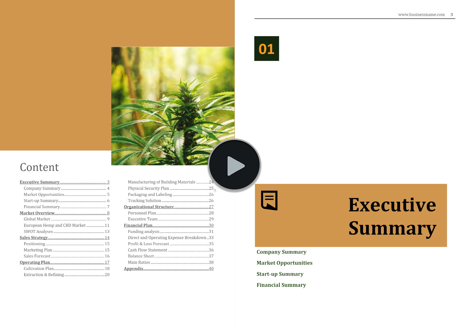 Hemp Cultivation CBD Oil Extraction Business Plan Template