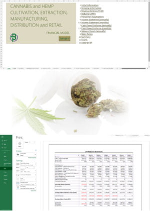 Cannabis and Hemp Vertically Integrated Financial Model