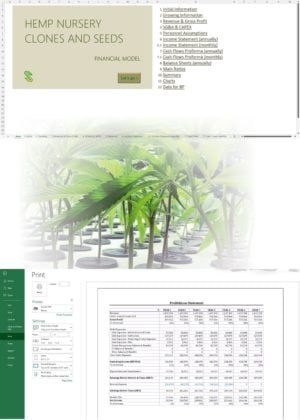 hemp nursery financial model