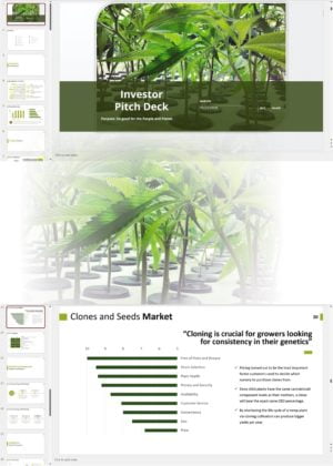 Hemp Nursery Investor Pitch Deck