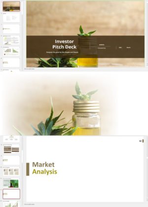 CBD Retail Investor Pitch Deck Template