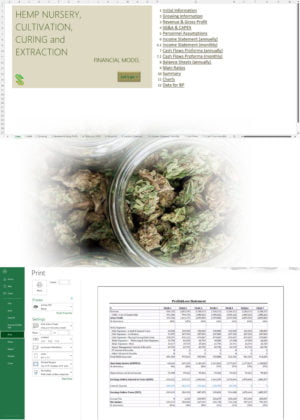 Hemp Nursery Cultivation Curing Extraction Financial Model
