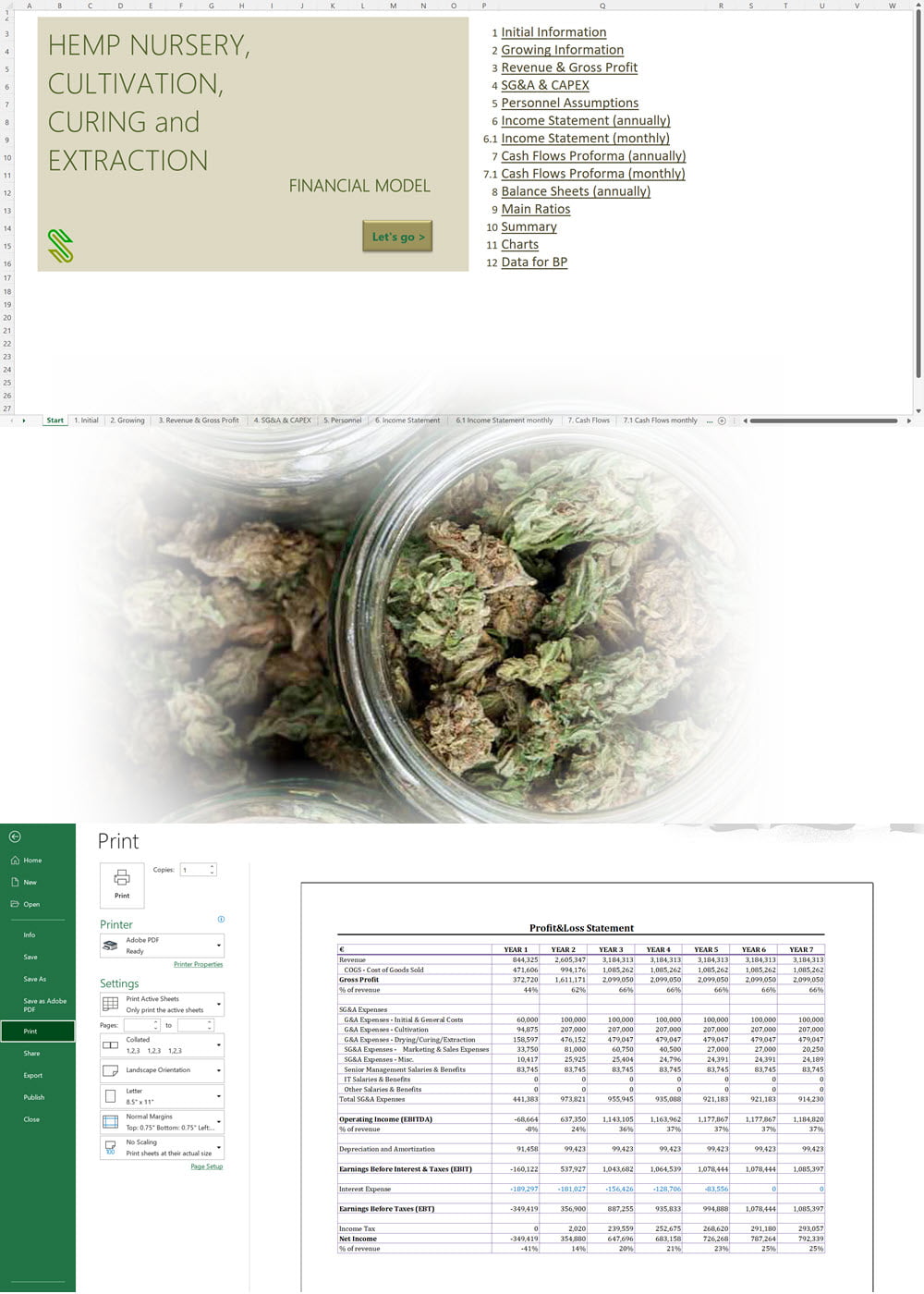 Hemp Nursery Cultivation Curing Extraction Financial Model