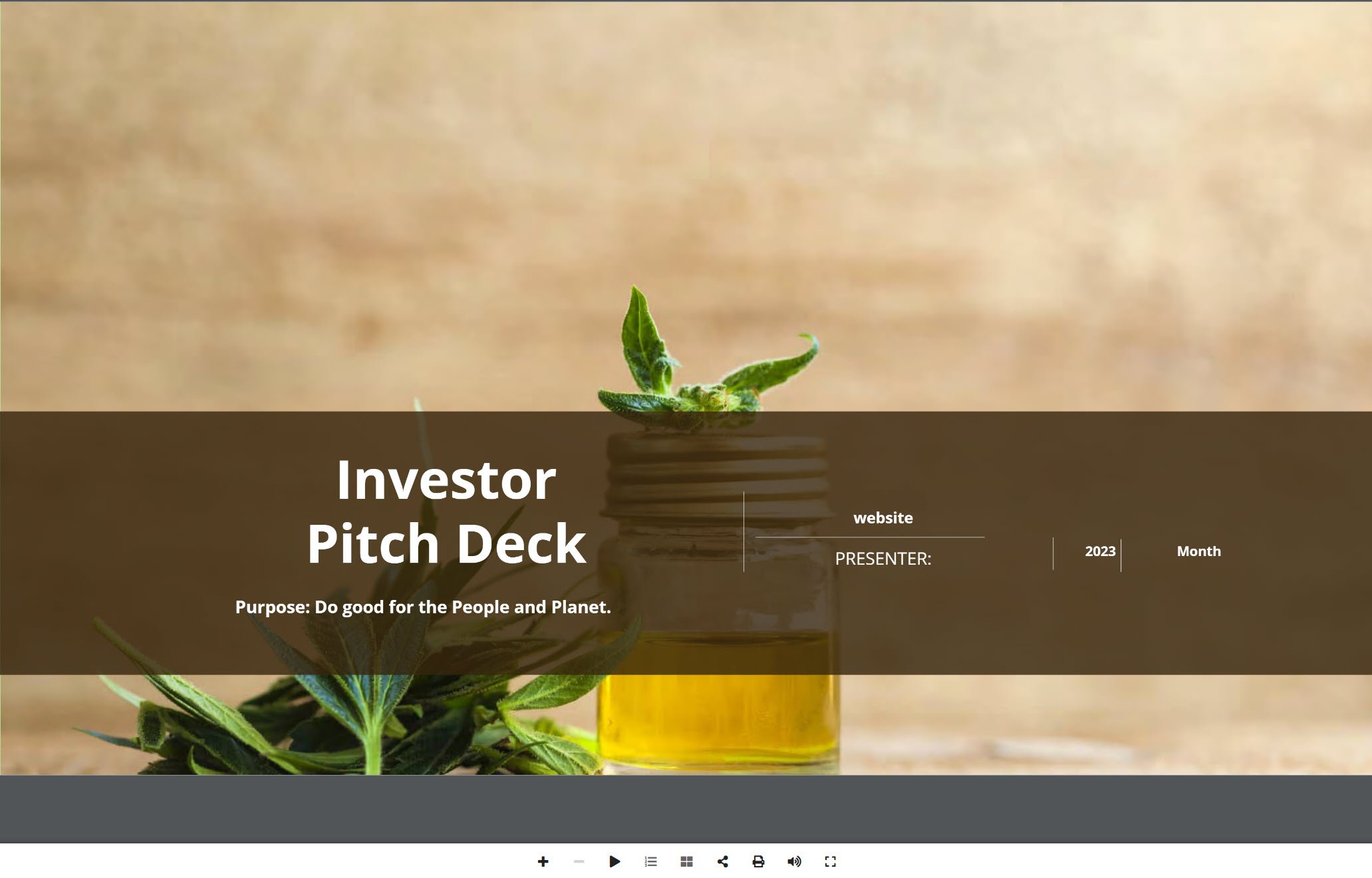 CBD Retail Investor Pitch Deck Template