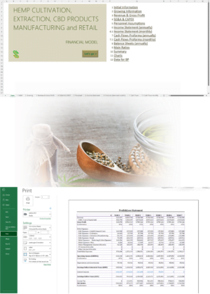 Vertically Integrated hemp/CBD Business Financial Model