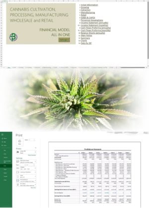 cannabis financial model