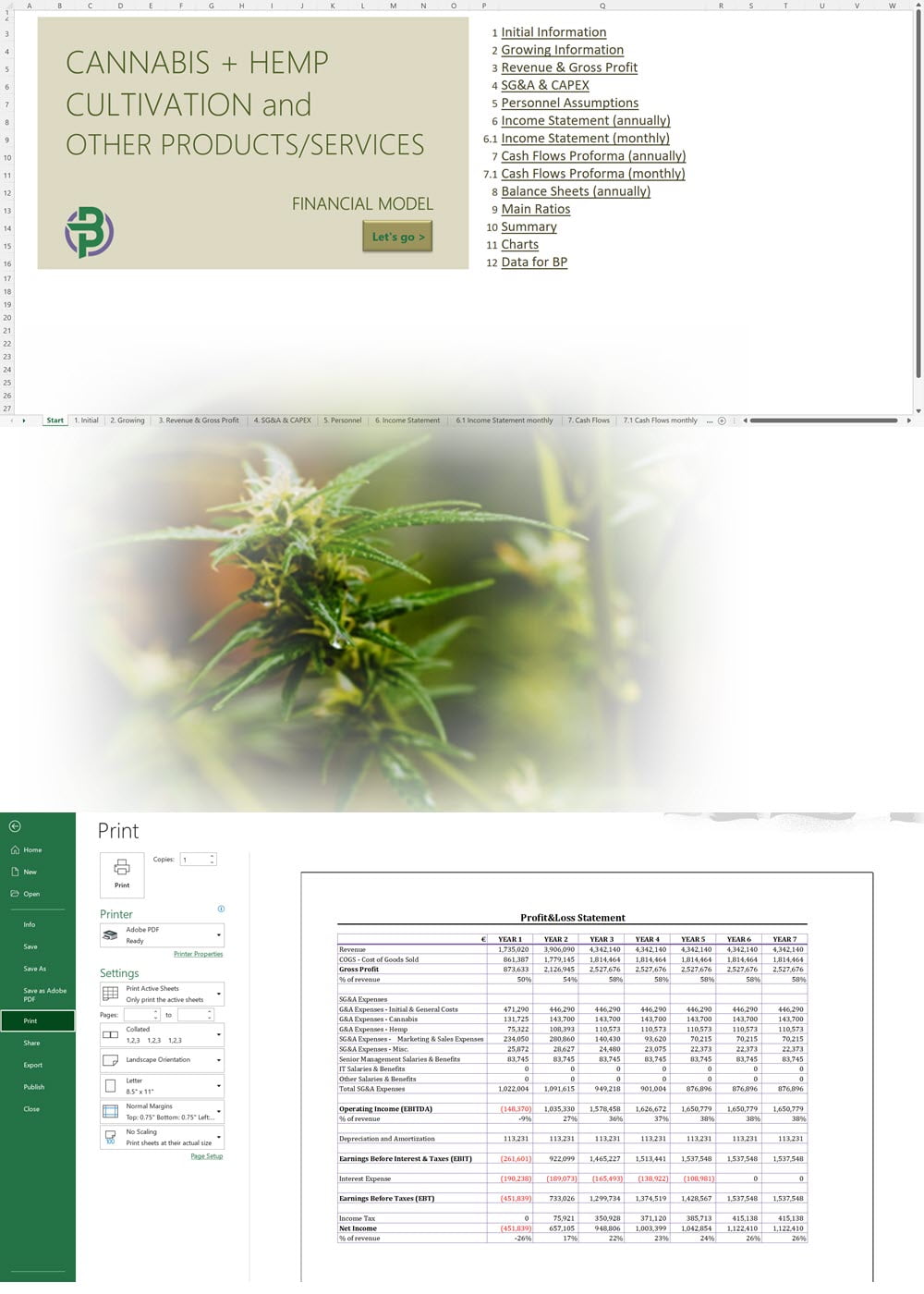 Cannabis and Hemp Cultivation Financial Model