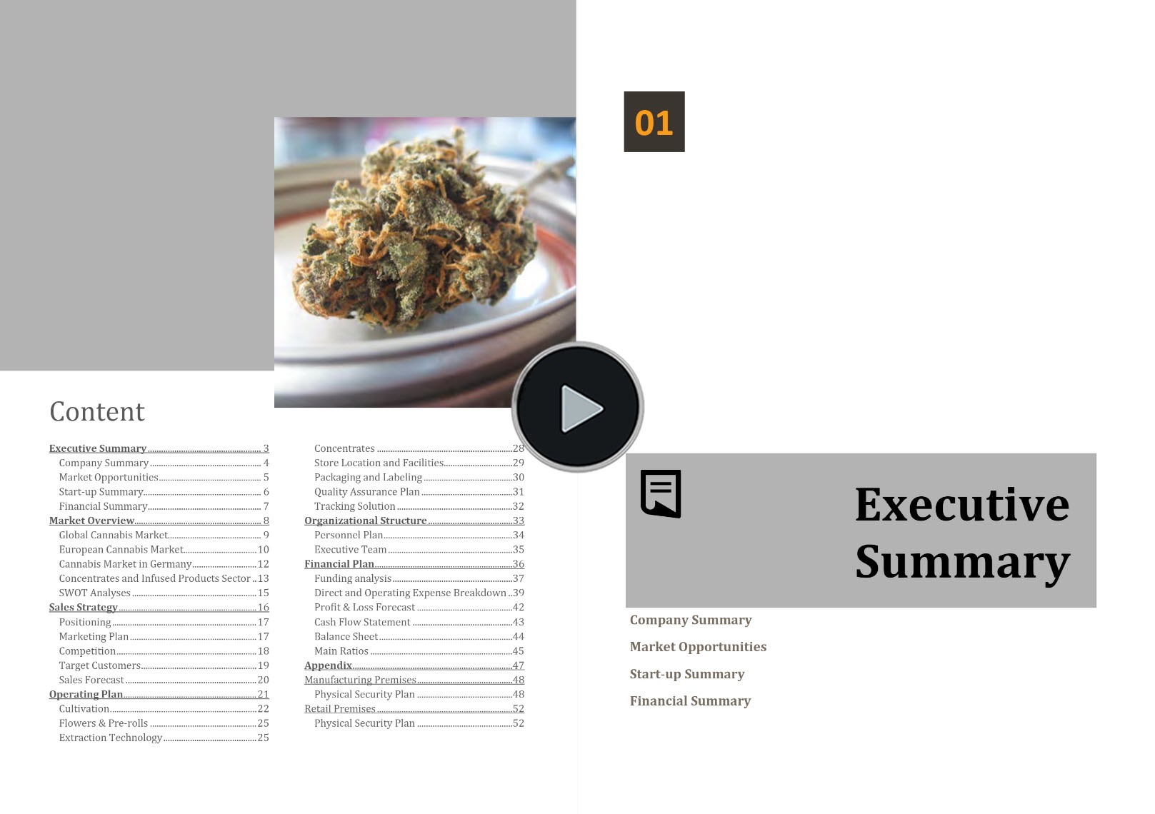 vertically integrated cannabis business plan