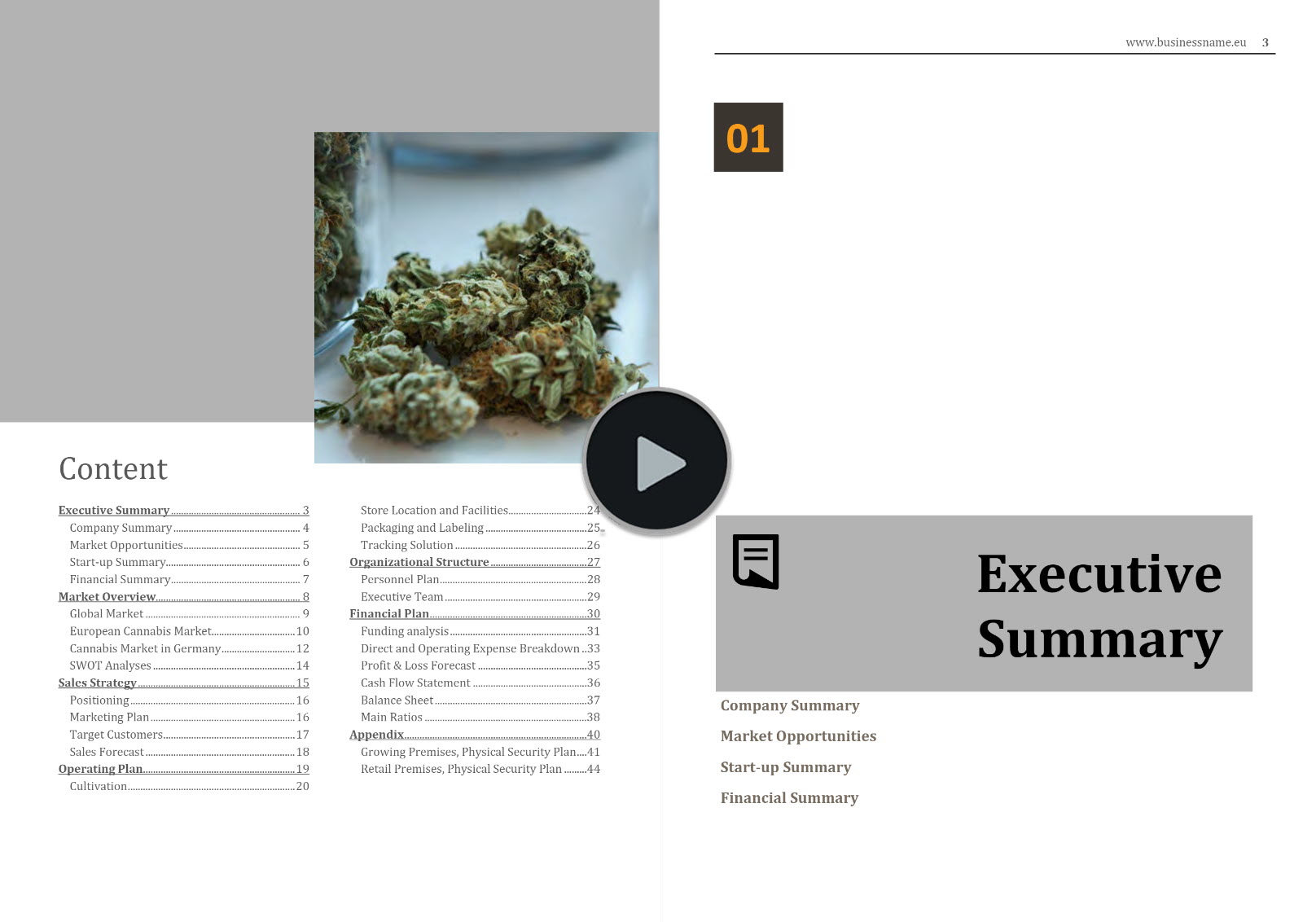 cannabis cultivation retail business plan template