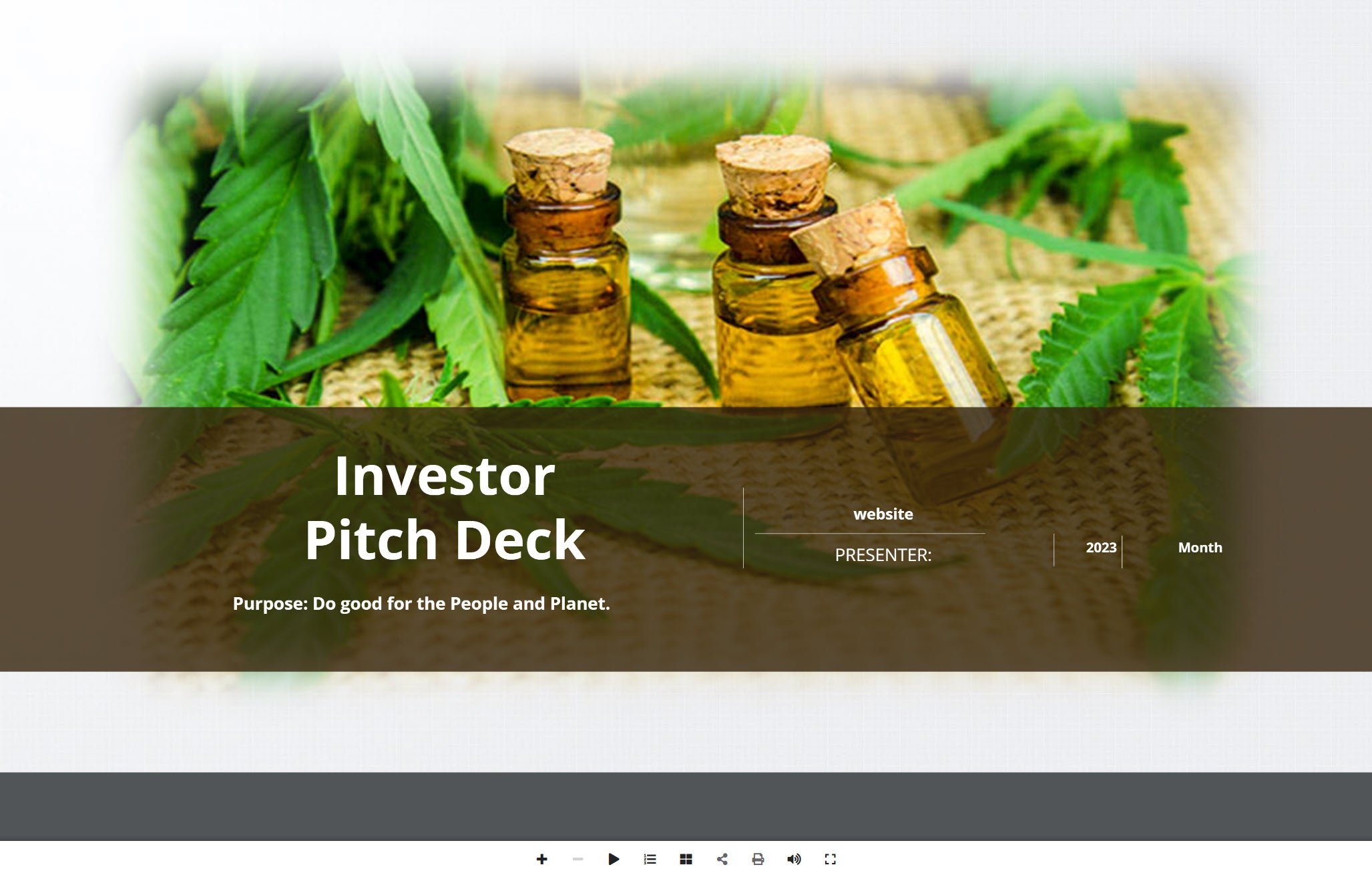 CBD Online Store Investor Pitch Deck Template