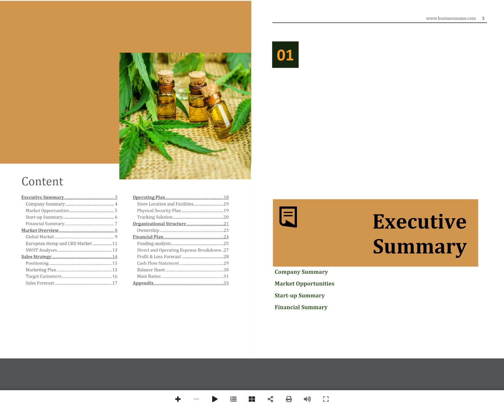 CBD Online Business Plan