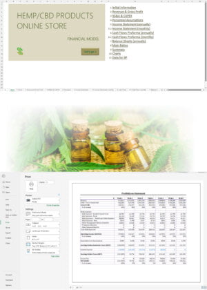 CBD Products Online Store Financial Model