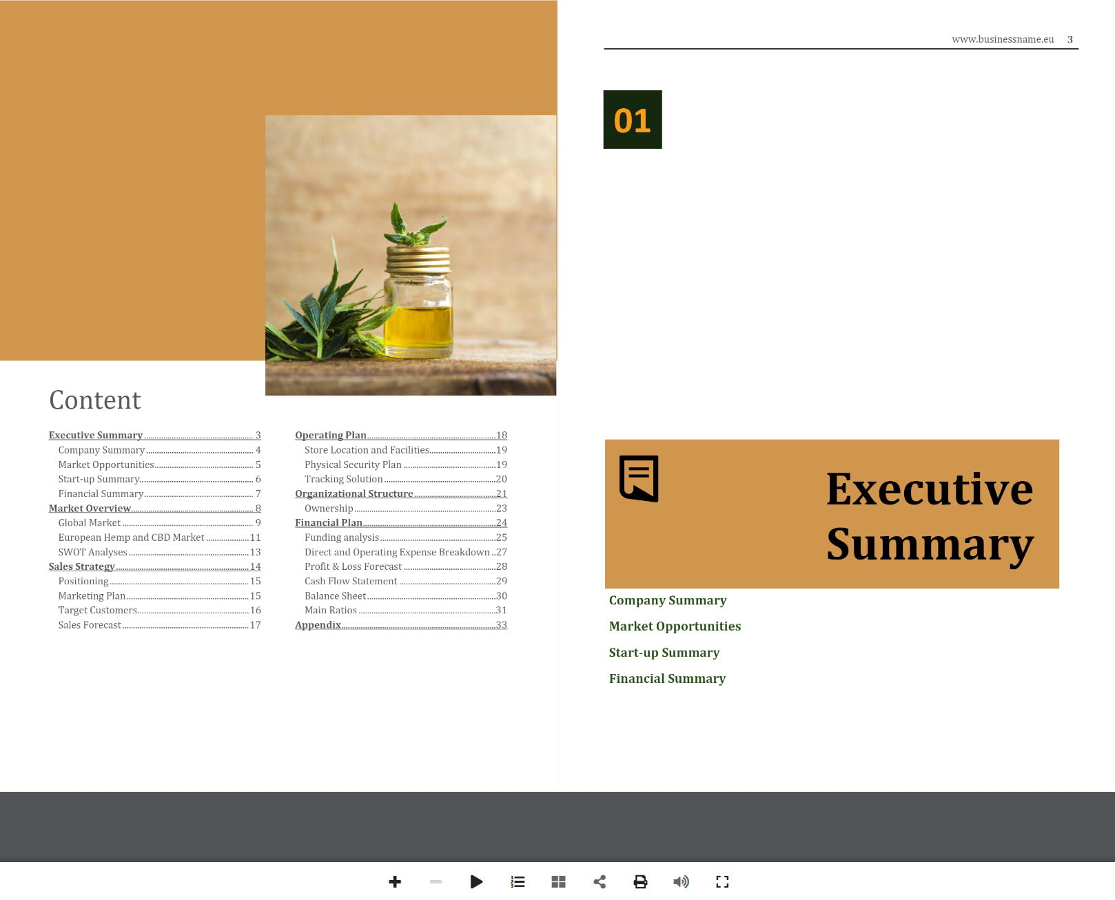 CBD Products Retail/Online Store Business Plan Template