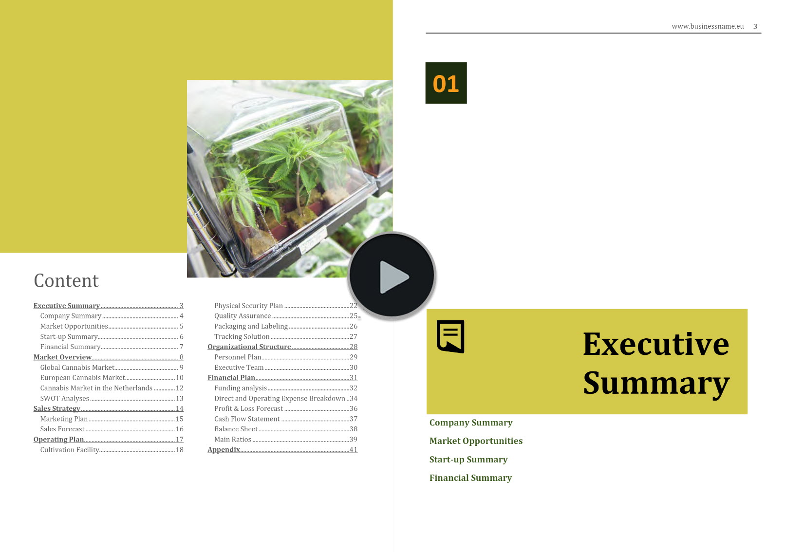 cannabis cultivation nursery business plan