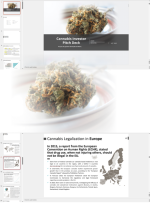 Vertically Integrated Cannabis Business Pitch Deck Template
