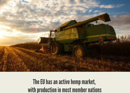 European Hemp CBD Market