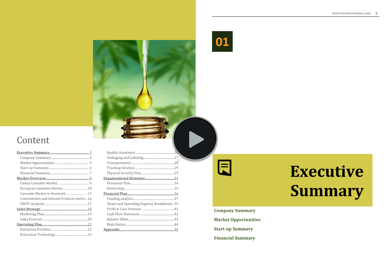 Cannabis Extraction Concentrates Business Plan Template