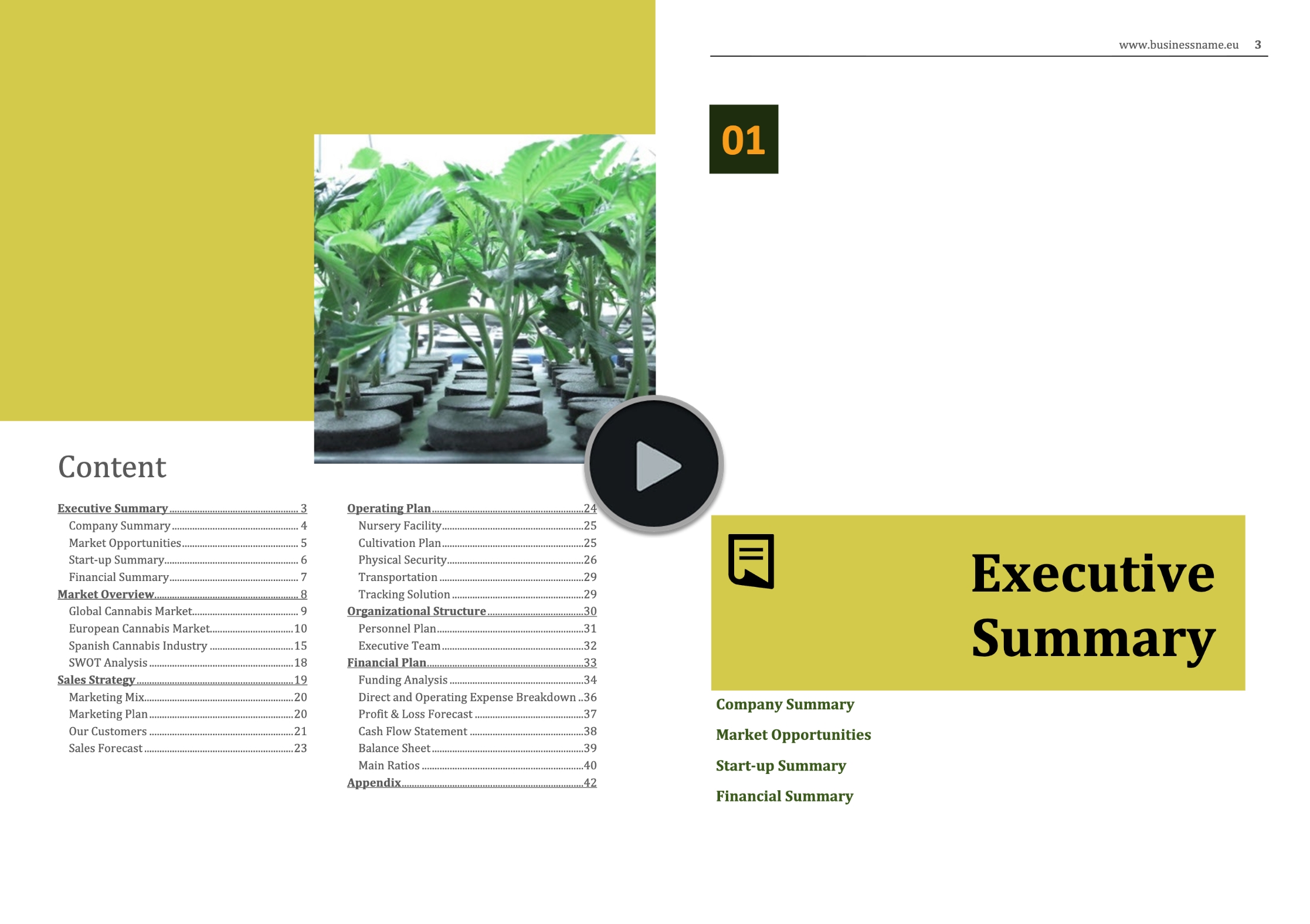 cannabis nursery business plan template