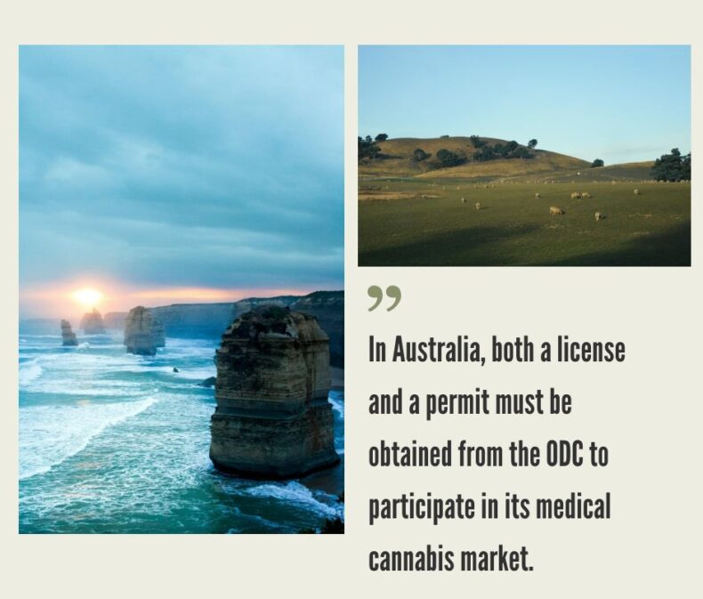 How to Start a Cannabis Business in Australia?