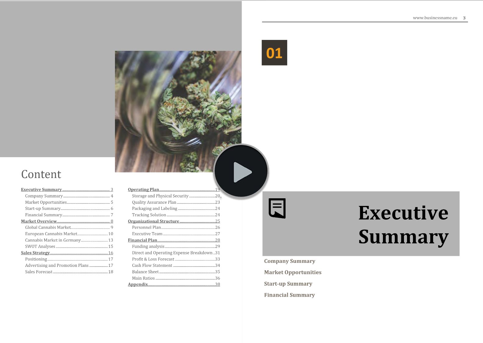Cannabis Export Import Distribution Business Plan