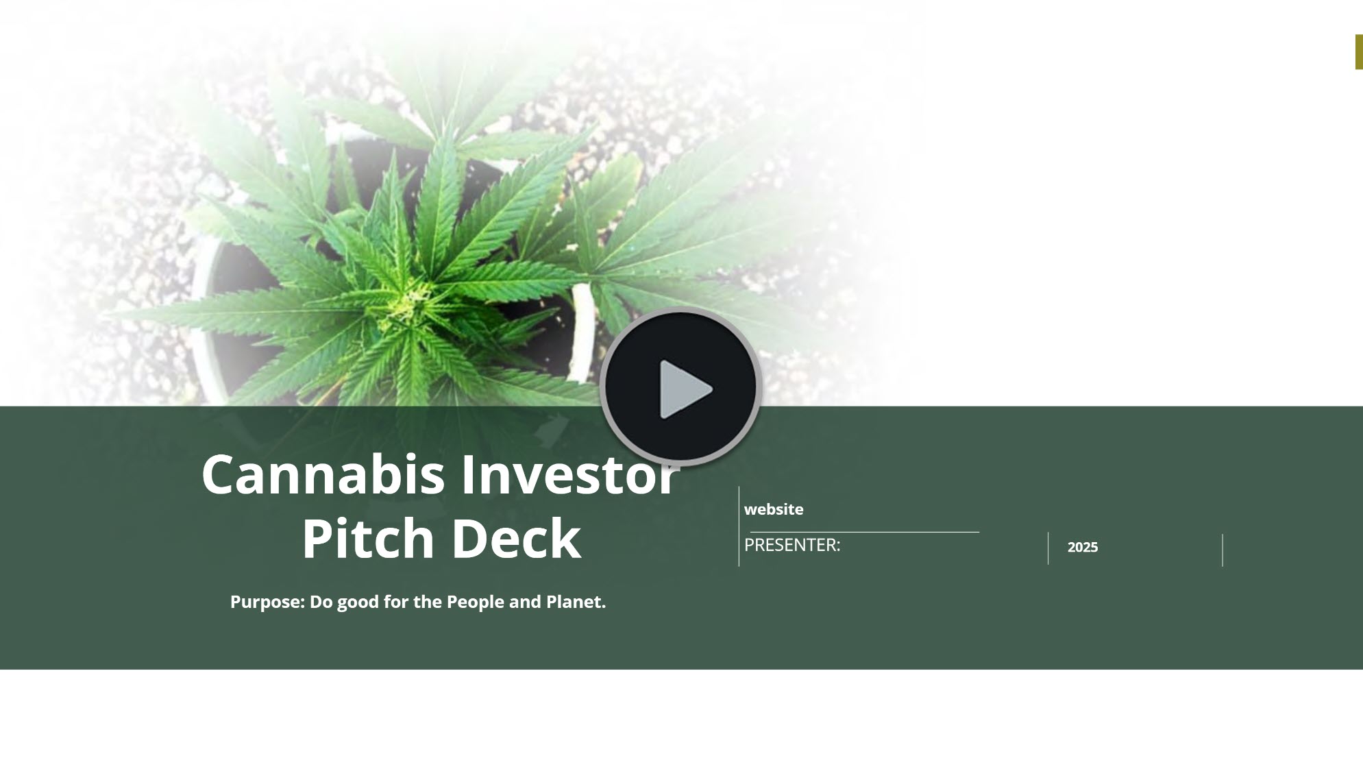 Cannabis Social Club Investor Pitch Deck