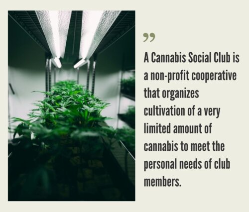 Cannabis Social Clubs