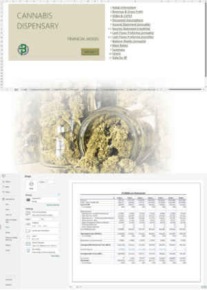 Cannabis Dispensary Financial Model