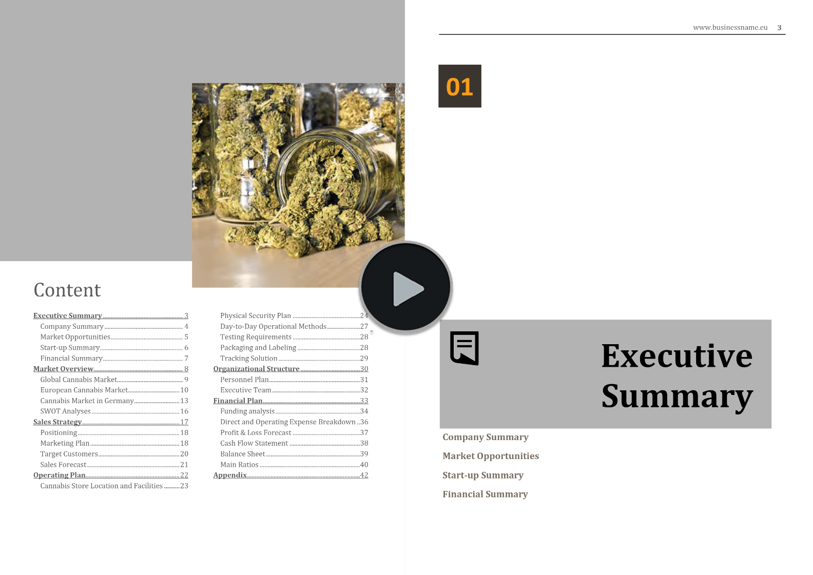 Cannabis Dispensary Business Plan Europe