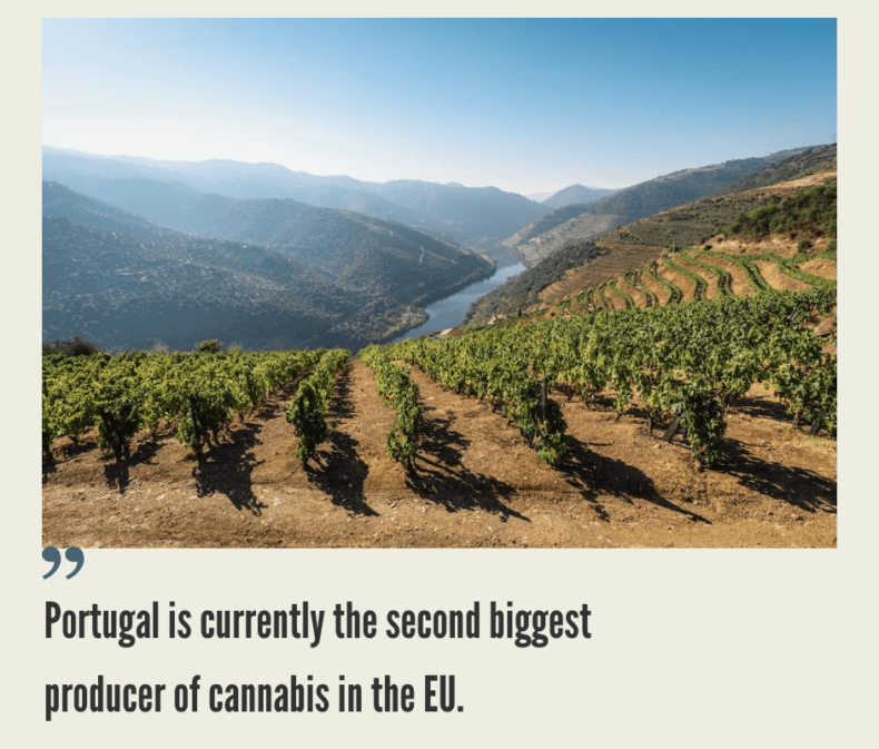 Cannabis Market in Portugal
