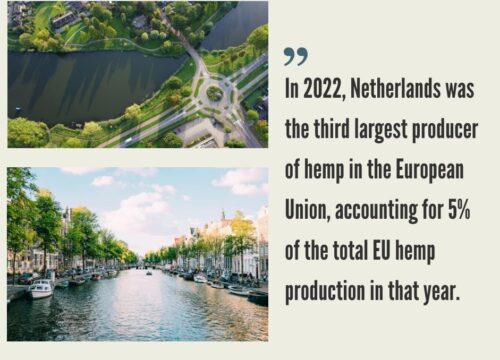 Hemp CBD Market in the Netherlands