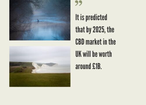 Hemp CBD Legalization and Market in the UK
