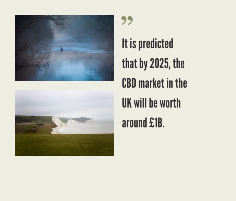 Hemp CBD Legalization and Market in the UK