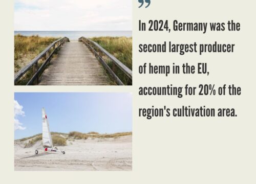 German Hemp CBD Industry