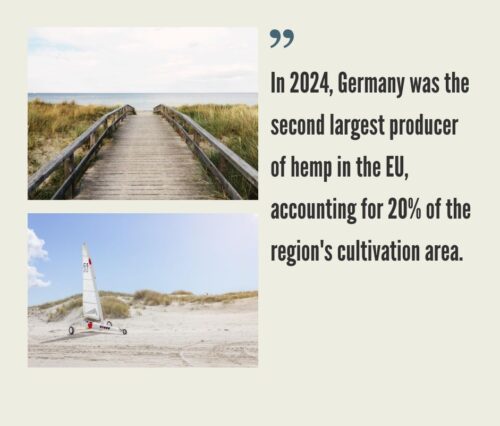 German Hemp CBD Industry
