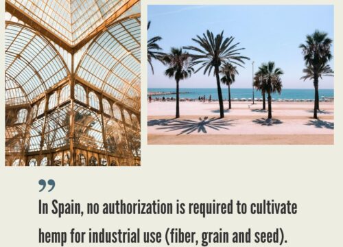 Spain Hemp CBD Market