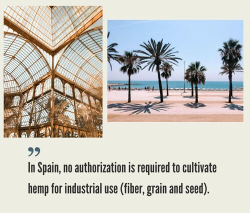 Spanish Hemp CBD Market
