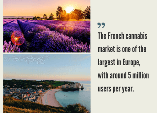 French Hemp CBD Industry