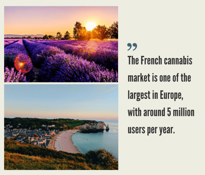 French Hemp CBD Industry