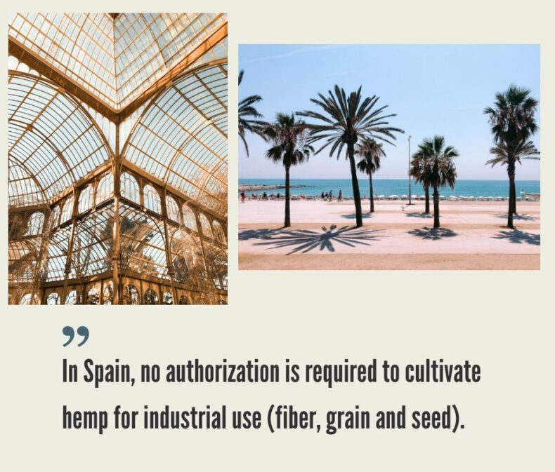 Spain Hemp CBD Market