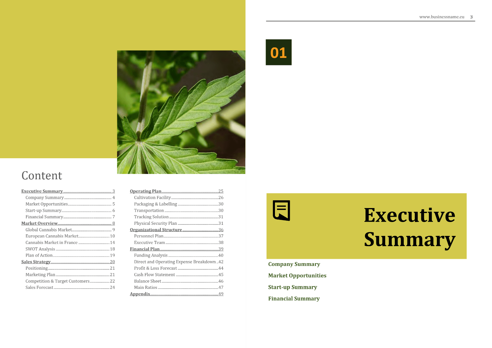Cannabis Cultivation Business Plan Template