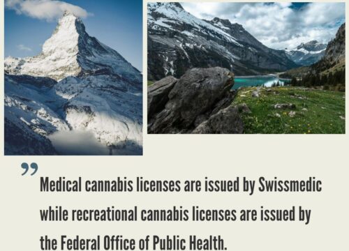 How to Start a Cannabis Business in Switzerland?
