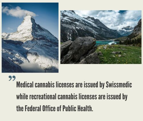 How to Start a Cannabis Business in Switzerland?